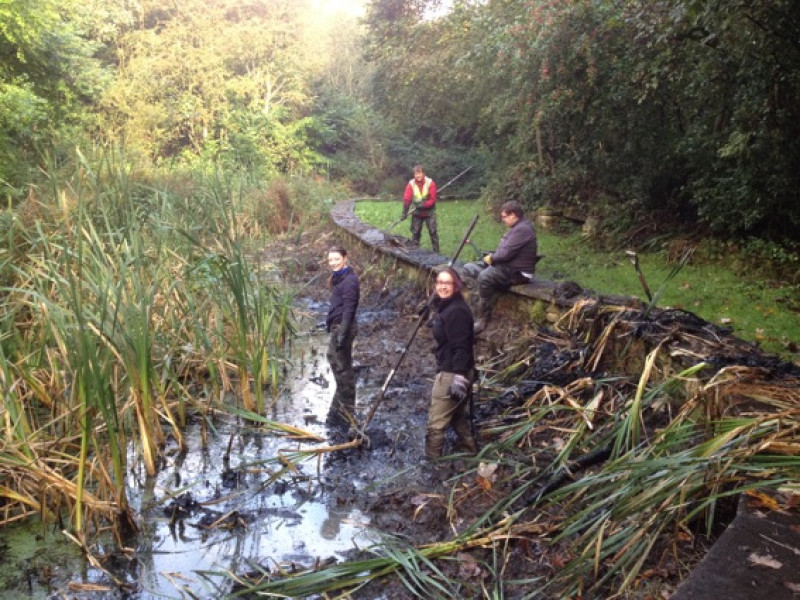 Main image for Nature reserve celebrates 40th birthday