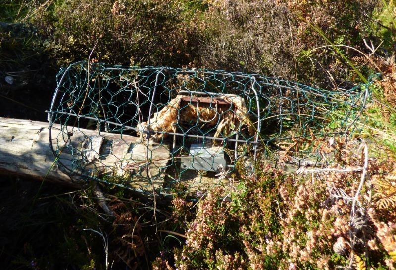 Main image for Group’s concern over animal kills