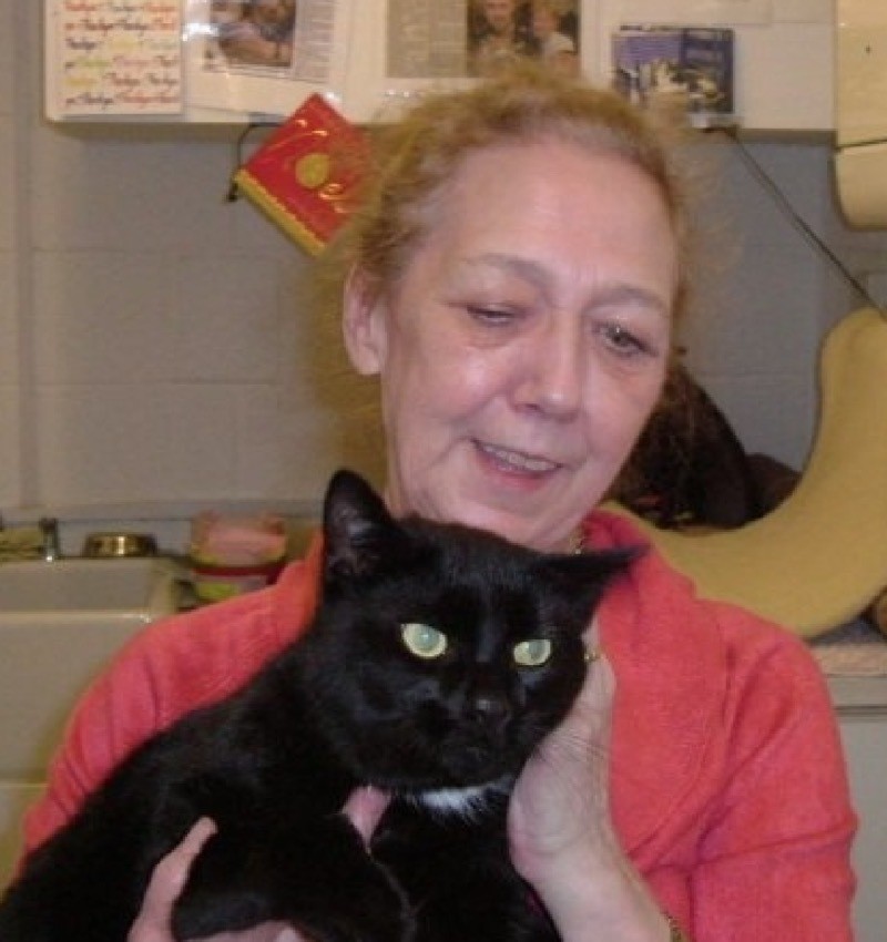 Main image for Tributes paid to cat-rescuing woman