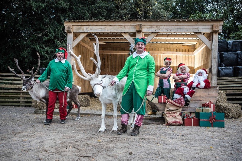 Main image for Festive farm visit for TV vet Peter