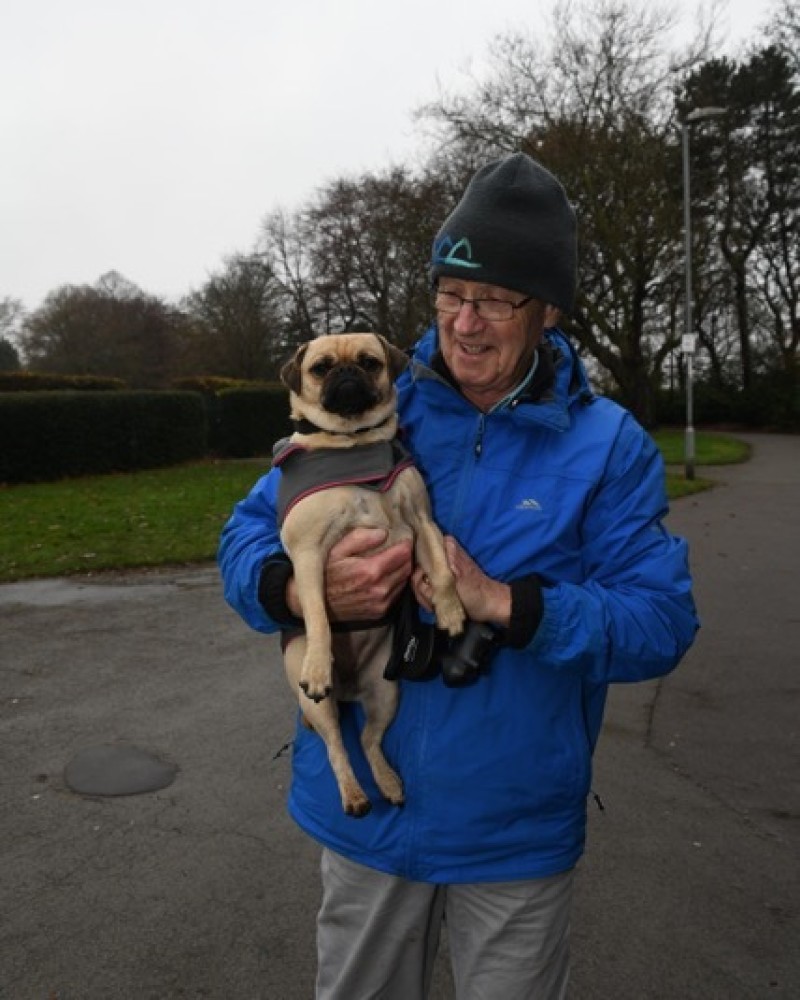 Main image for Dog helps man combat loneliness