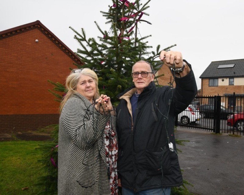Main image for Community rebuilding after vandals strike tree
