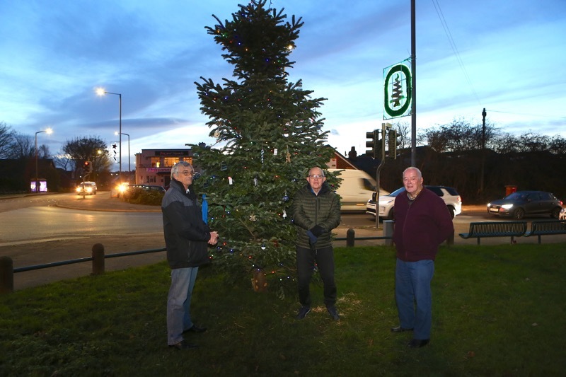 Main image for Tree acts as remembrance point for Emily