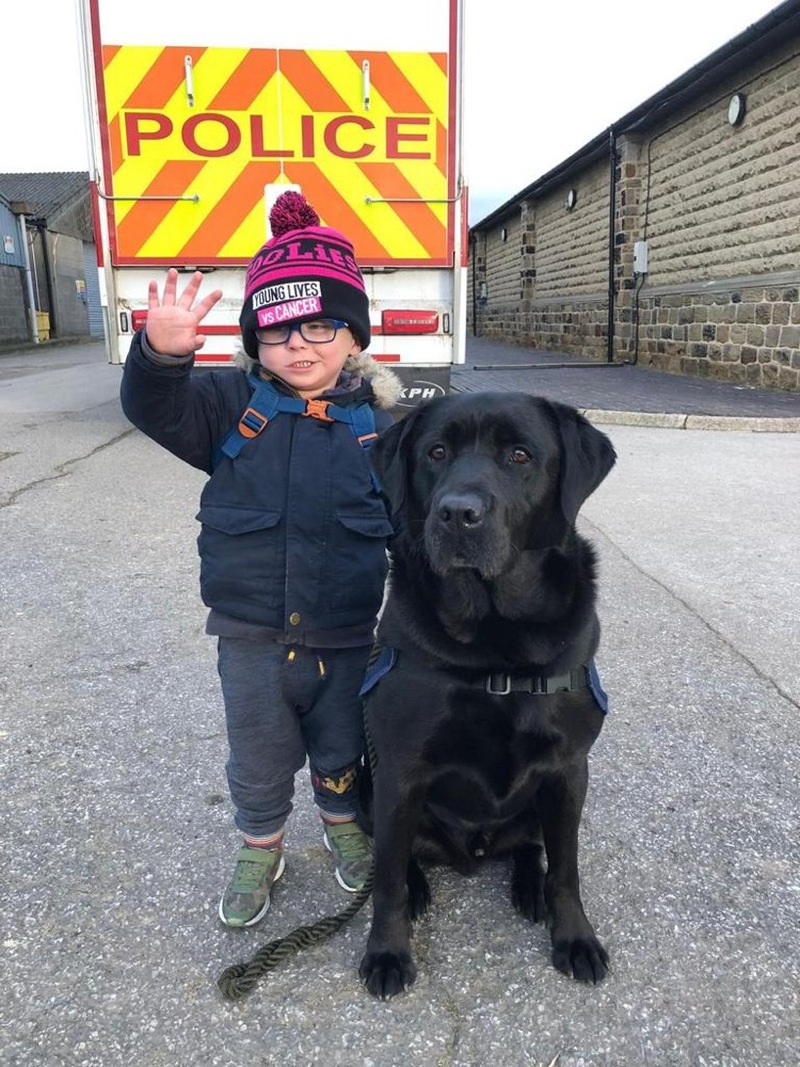 SPECIAL VISIT: Ely travelled to Ring Farm in Cudworth last week.