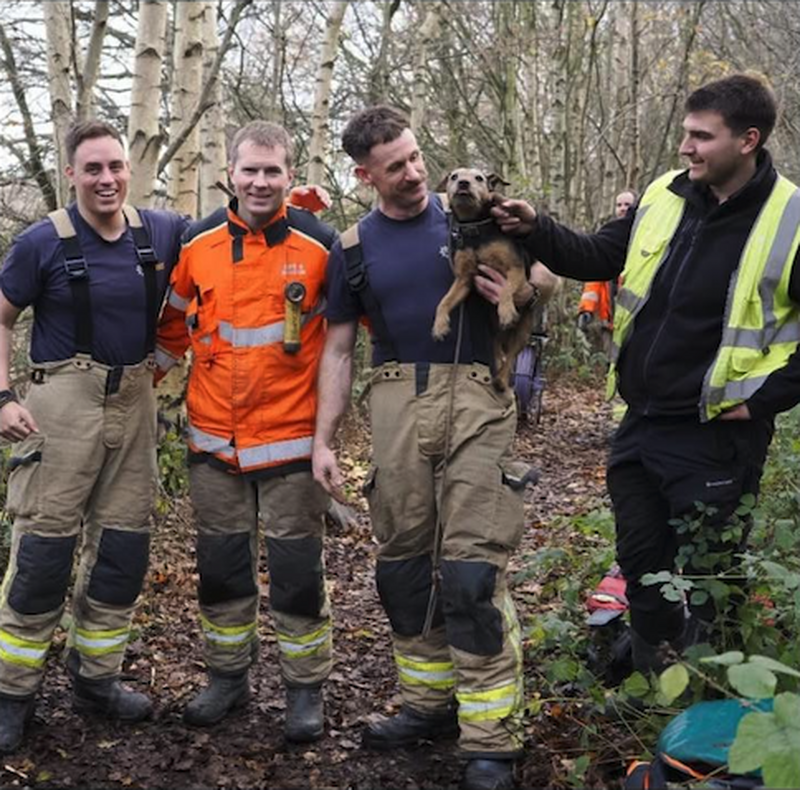 SAVED: Mini the dog was saved by South Yorkshire Fire and Rescue and Barnsley Council.