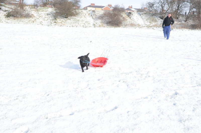 Main image for Snowy scenes in Darfield