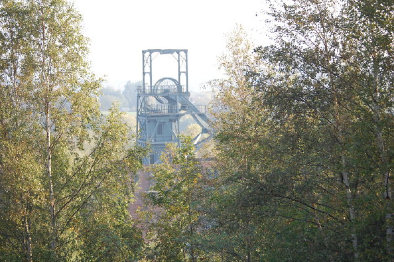 Main image for Woodland planned for Barnsley Main pit stack
