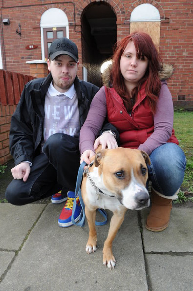 Main image for Lucky escape for dog in fire