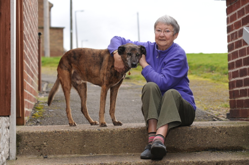 Main image for Dog proves a 'star' for OAP in fall ordeal