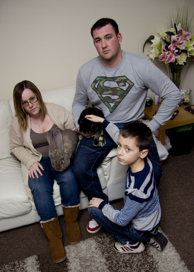 Main image for Family reeling after pet rabbit attack