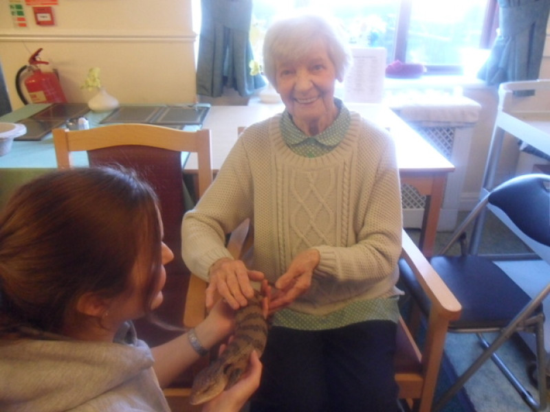 Main image for Care home gets petting zoo visit