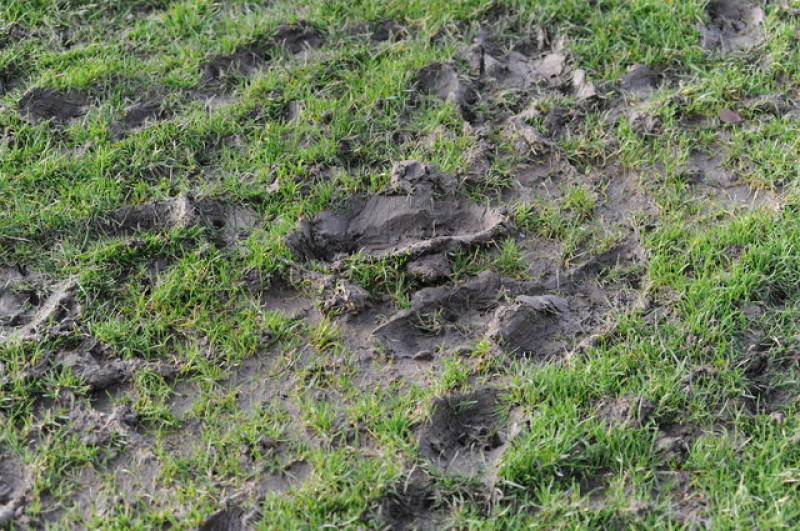 Main image for Not pitch perfect for town football