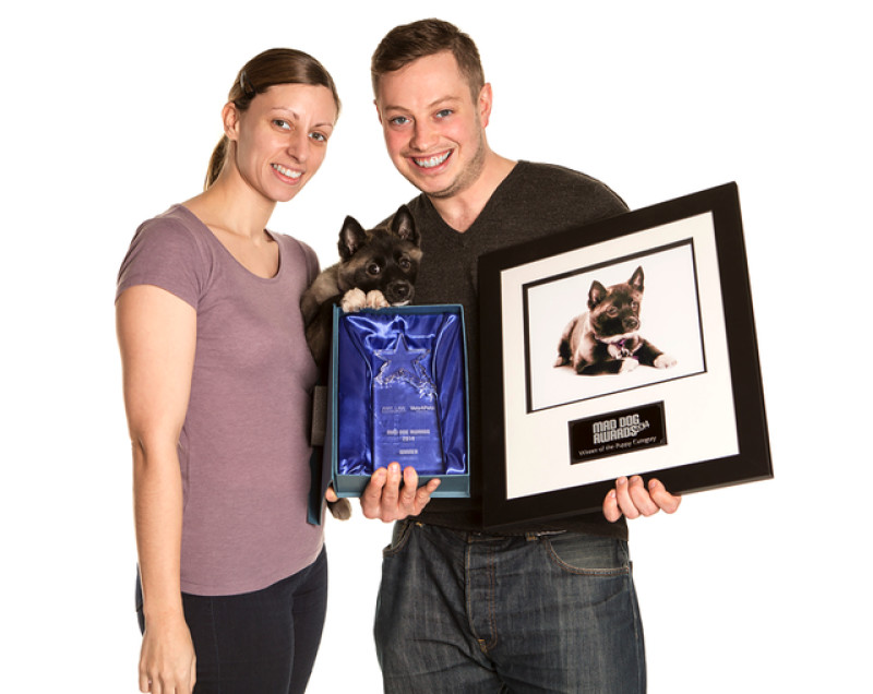 Main image for Puppy power: Lexi is named top dog