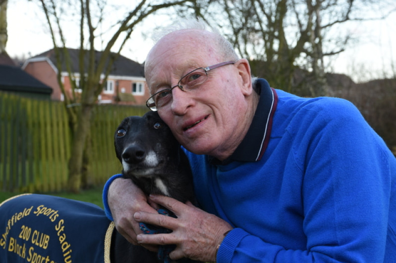 Main image for Racing greyhound retires with Barnsley family
