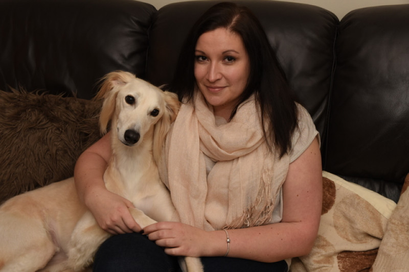 Main image for Vets recruit doggie blood donors