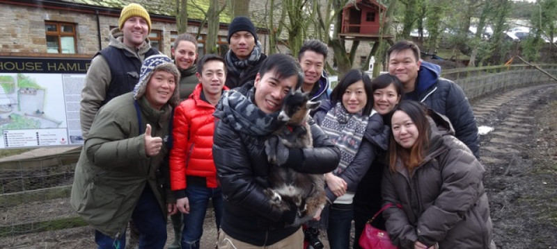 Main image for International stardom for pygmy goat
