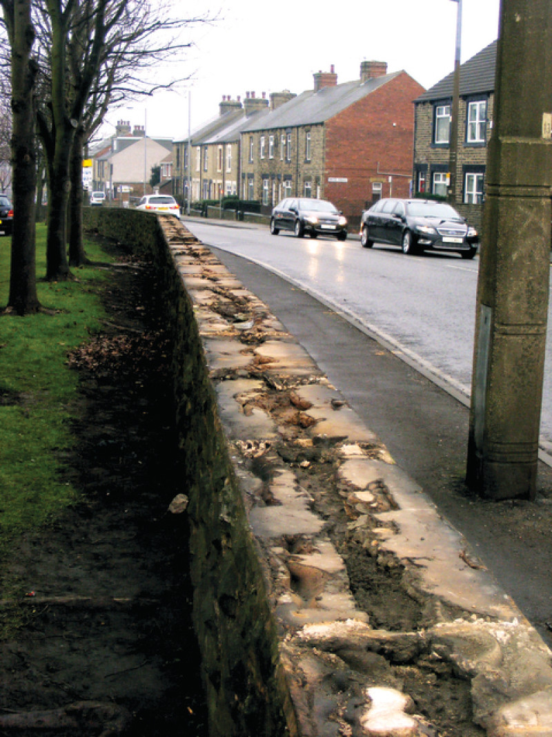 Main image for Valuable stone stolen from hospital
