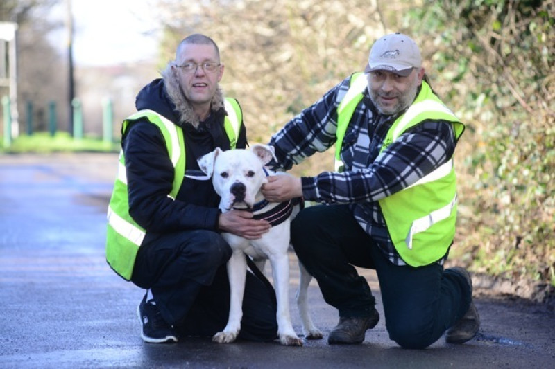 Main image for Lucky dog given second chance