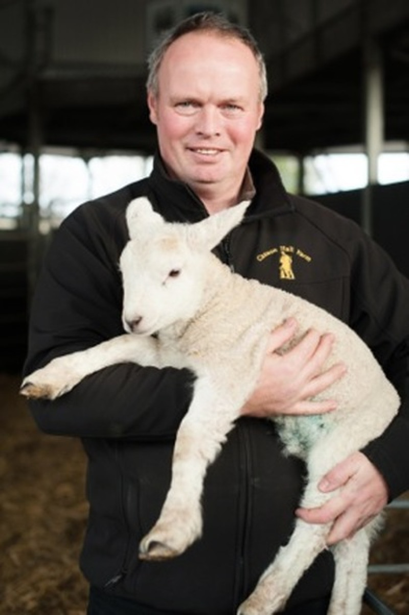 Main image for Farm plans ‘bleat tweets’ to welcome Spring lambs