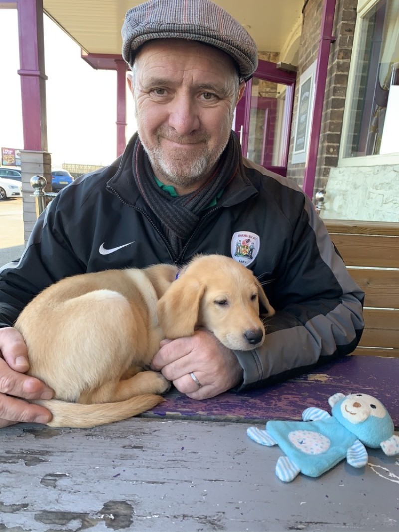Main image for Support dogs scheme appeals for more volunteers