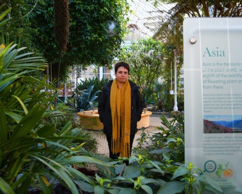 Main image for Visitor attraction flourishes since reopening