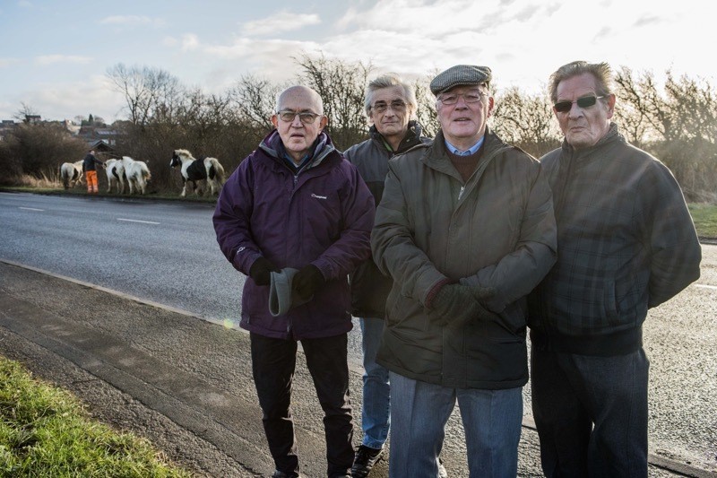 Main image for ‘Action is needed over horses’