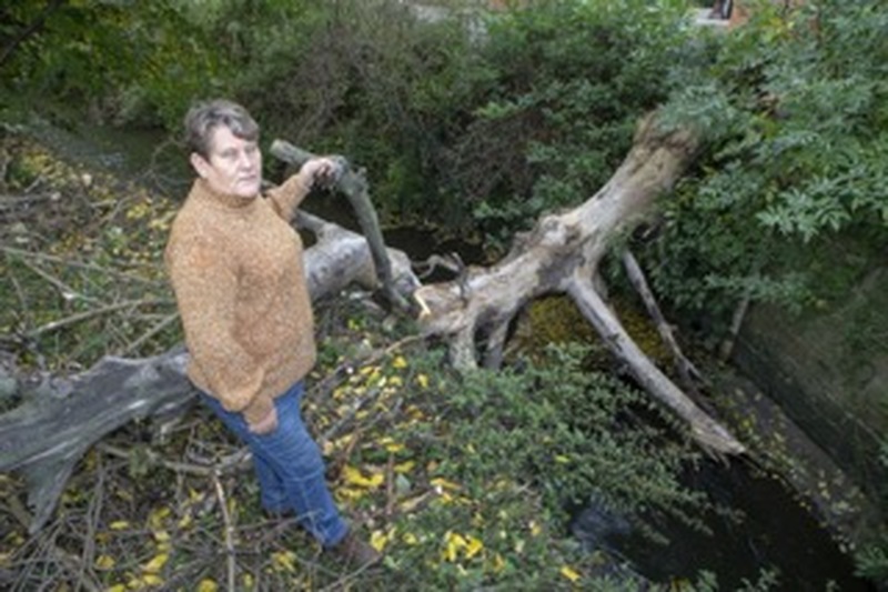 Main image for Residents’ views sought on anti-flooding plans