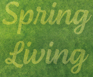 Wanting to promote Spring offers for your business? Image