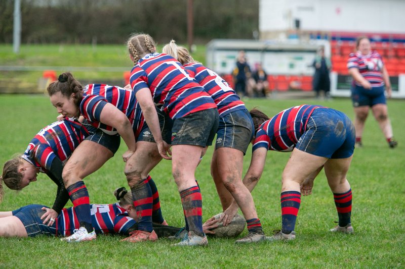 Main image for One match left for Ladies after defeat to leaders