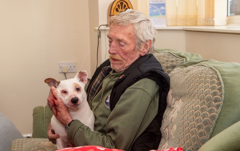 Main image for Police confirm dog’s fate