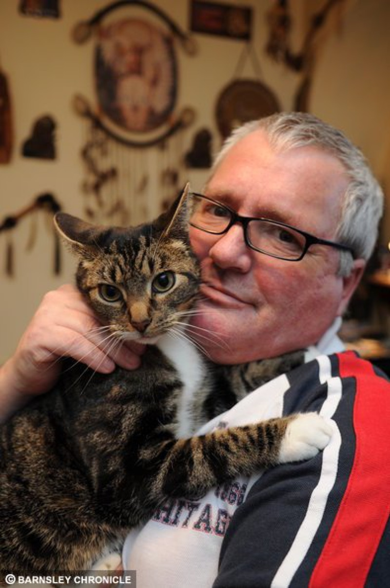 Main image for Rescue cat attacked by terriers