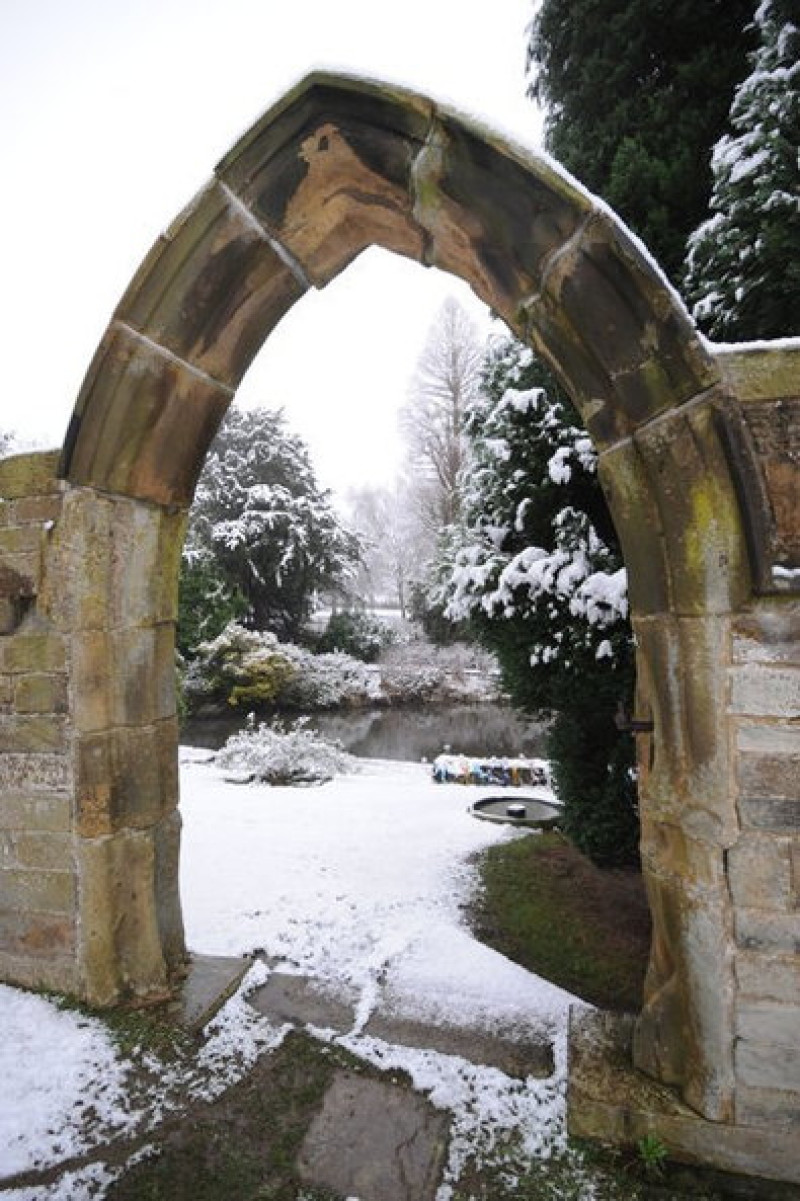 Main image for Snow paints the town white