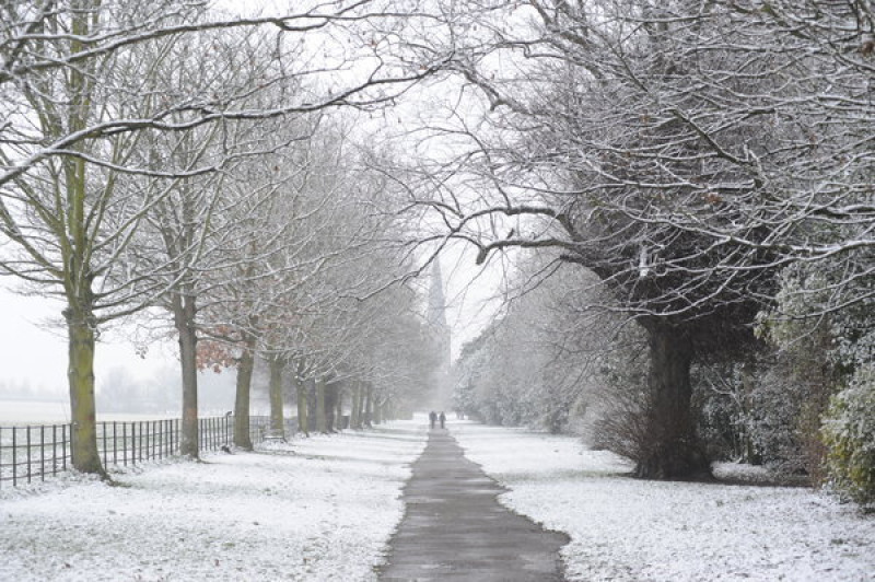Main image for Heavy snow predicted for the rest of the week