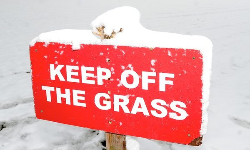 Main image for Council football pitches closed because of weather
