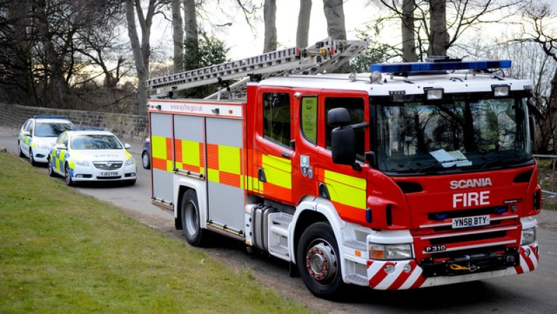 Main image for Van driver hurt in tree crash