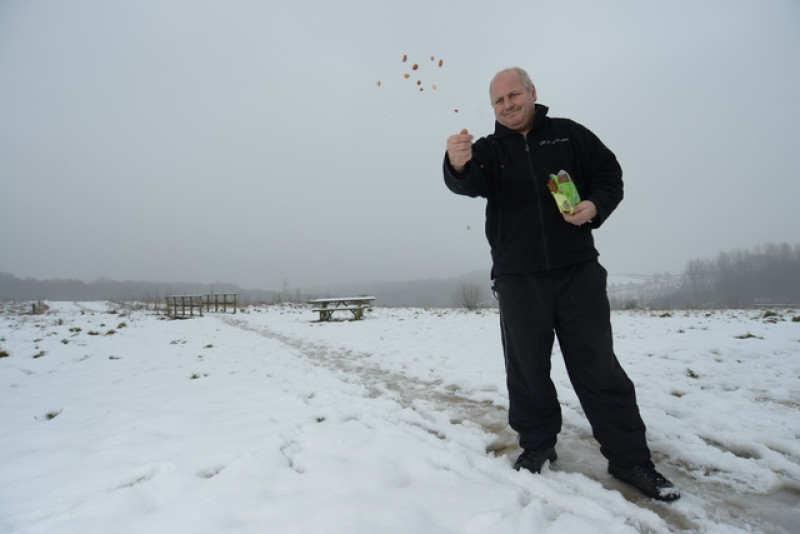 Main image for Bird feeder escapes littering fine