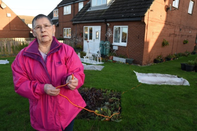 Main image for Cissie in the dark as thieves strike
