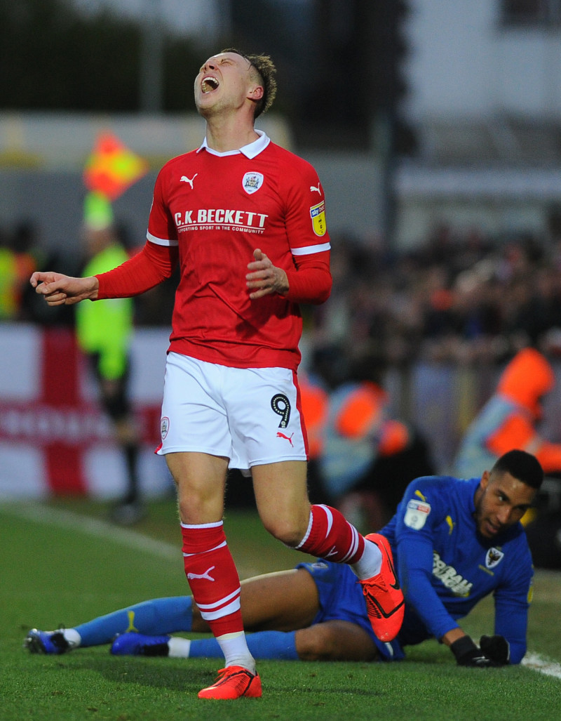 Main image for Woodrow in training and set to face Dale
