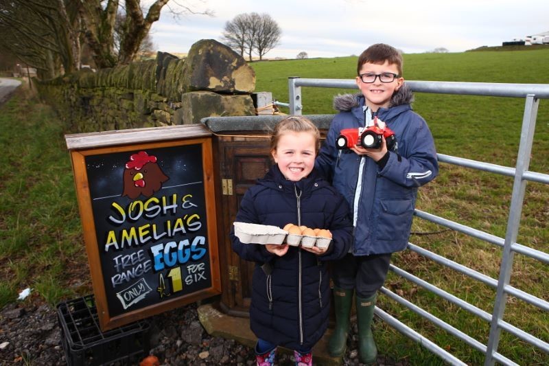 Main image for Honesty box smashed by farm yard thieves