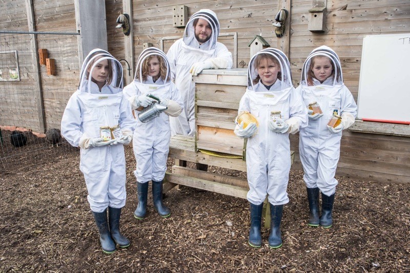 Main image for Primary school’s hive of activity...