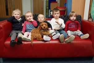 Kids get ‘custody’ of Rhubarb the dog Image