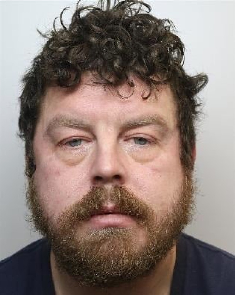 Main image for Fraudster back in jail