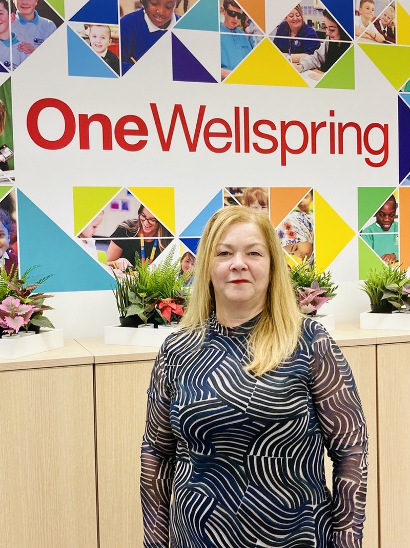 Main image for Barnsley woman new Wellspring chair