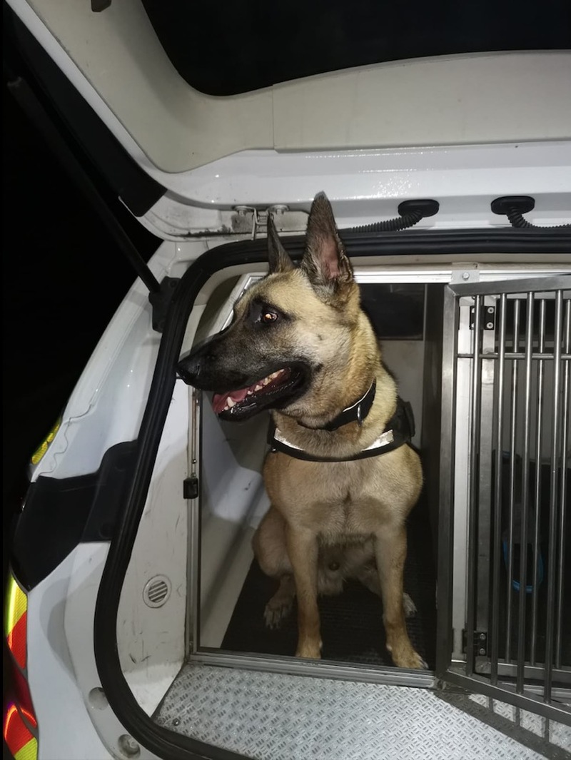 Main image for Police dog retires from force