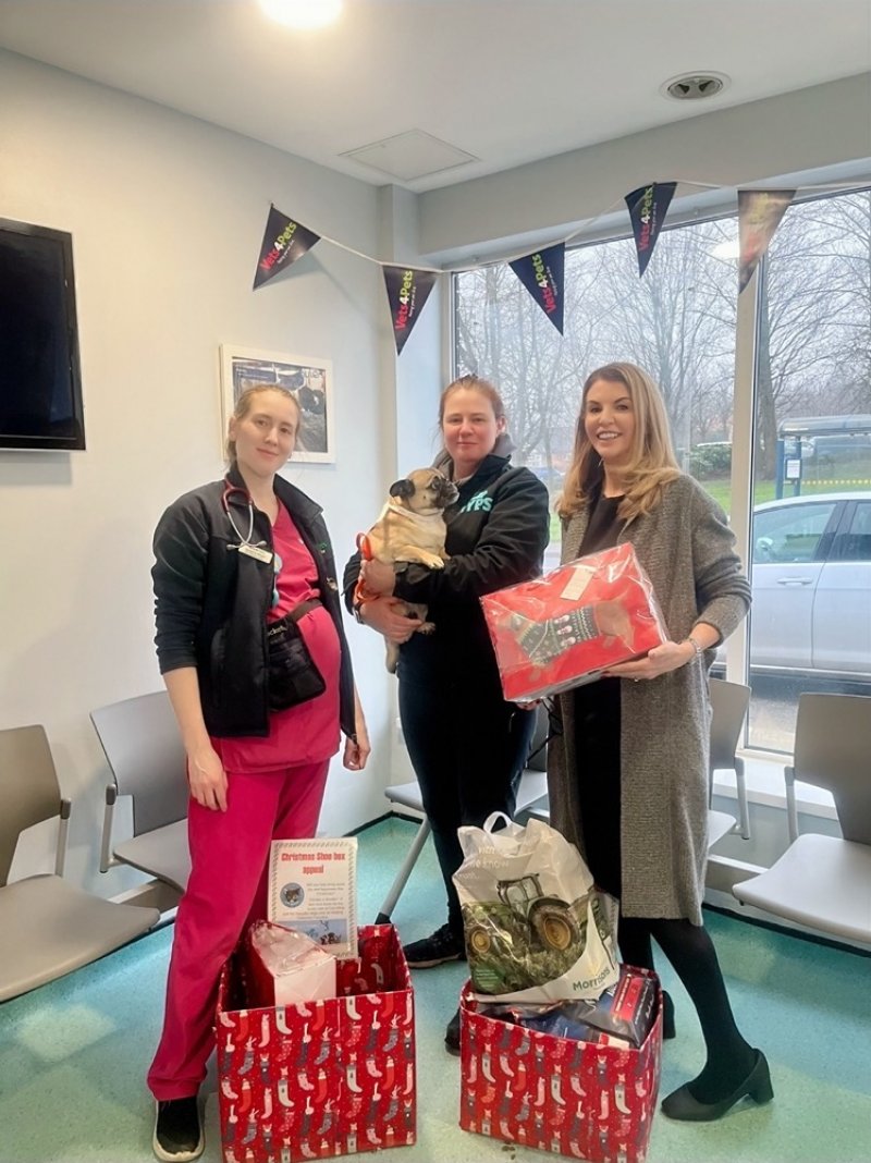 Main image for Vet's donates funds and food