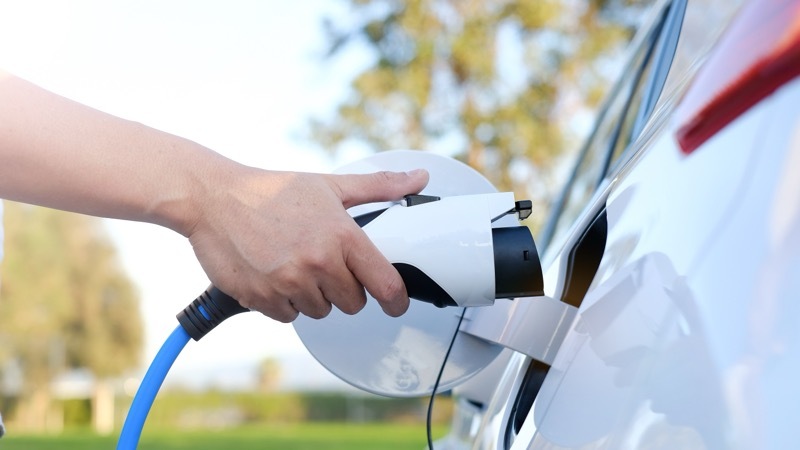 Main image for Thousands of motorists go green