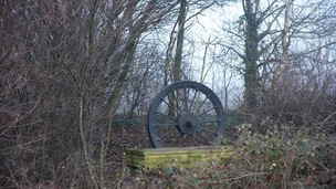 ON SHOW: The shrubbery around the wheel has now been removed.