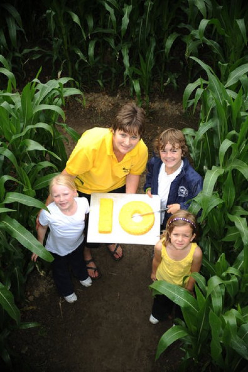 Main image for Maze loses out because of downpours