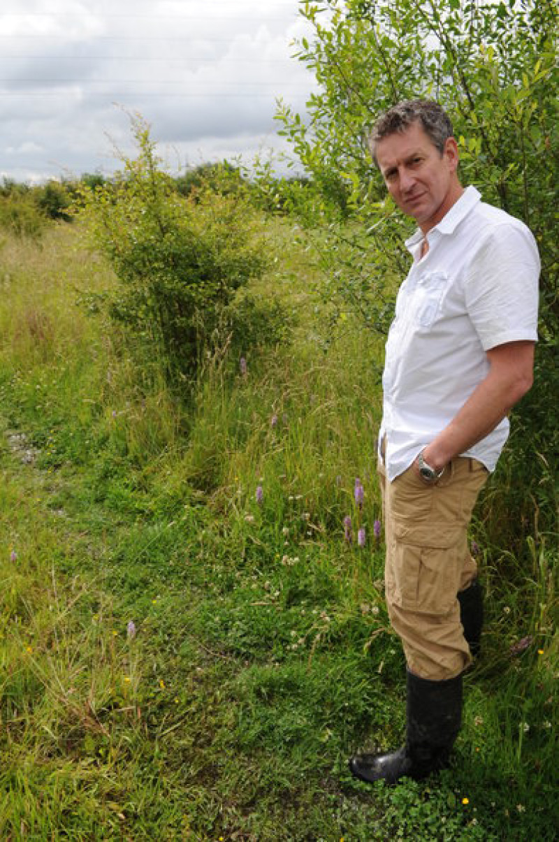 Main image for Group slams bid to build on land
