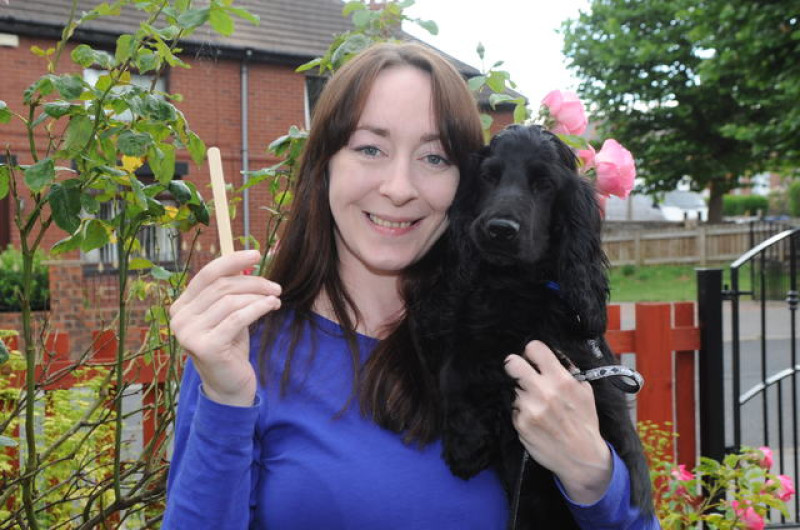 Main image for 'Alarming' increase in dogs eating ice lolly sticks